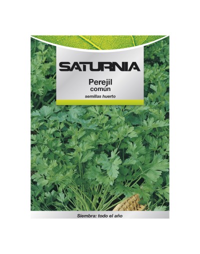 Semillas Perejil Comun (8 gramos) Semillas Verduras, Horticultura, Horticola, Semillas...